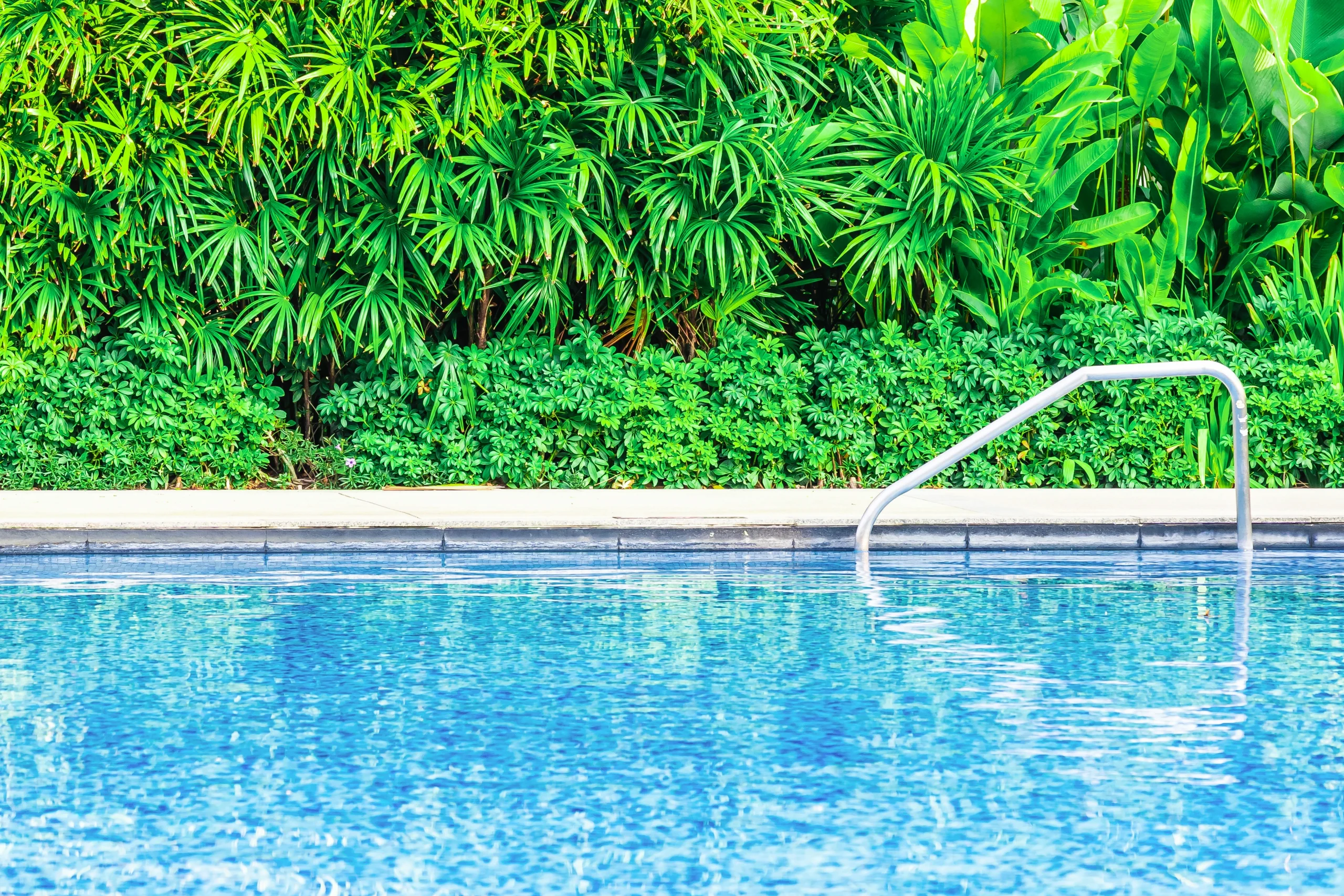 jardí a la piscina