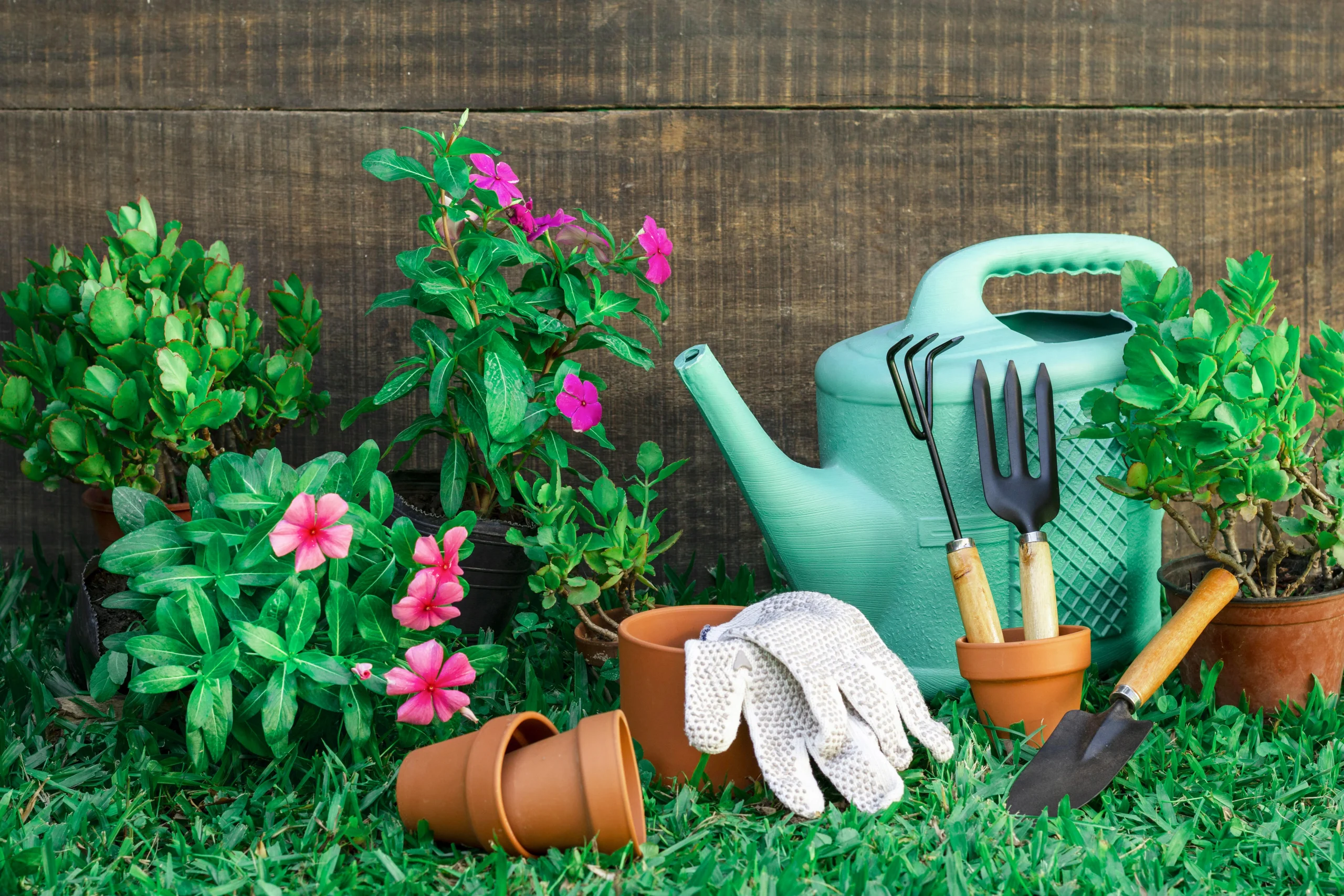 jardineria