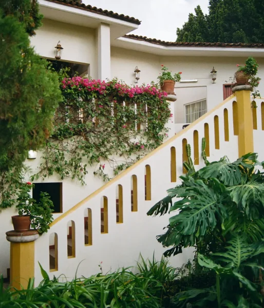 manteniment de jardins