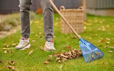 Com Netejar la Gespa Artificial: Consells Pràctics