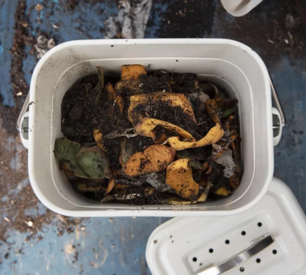 compost